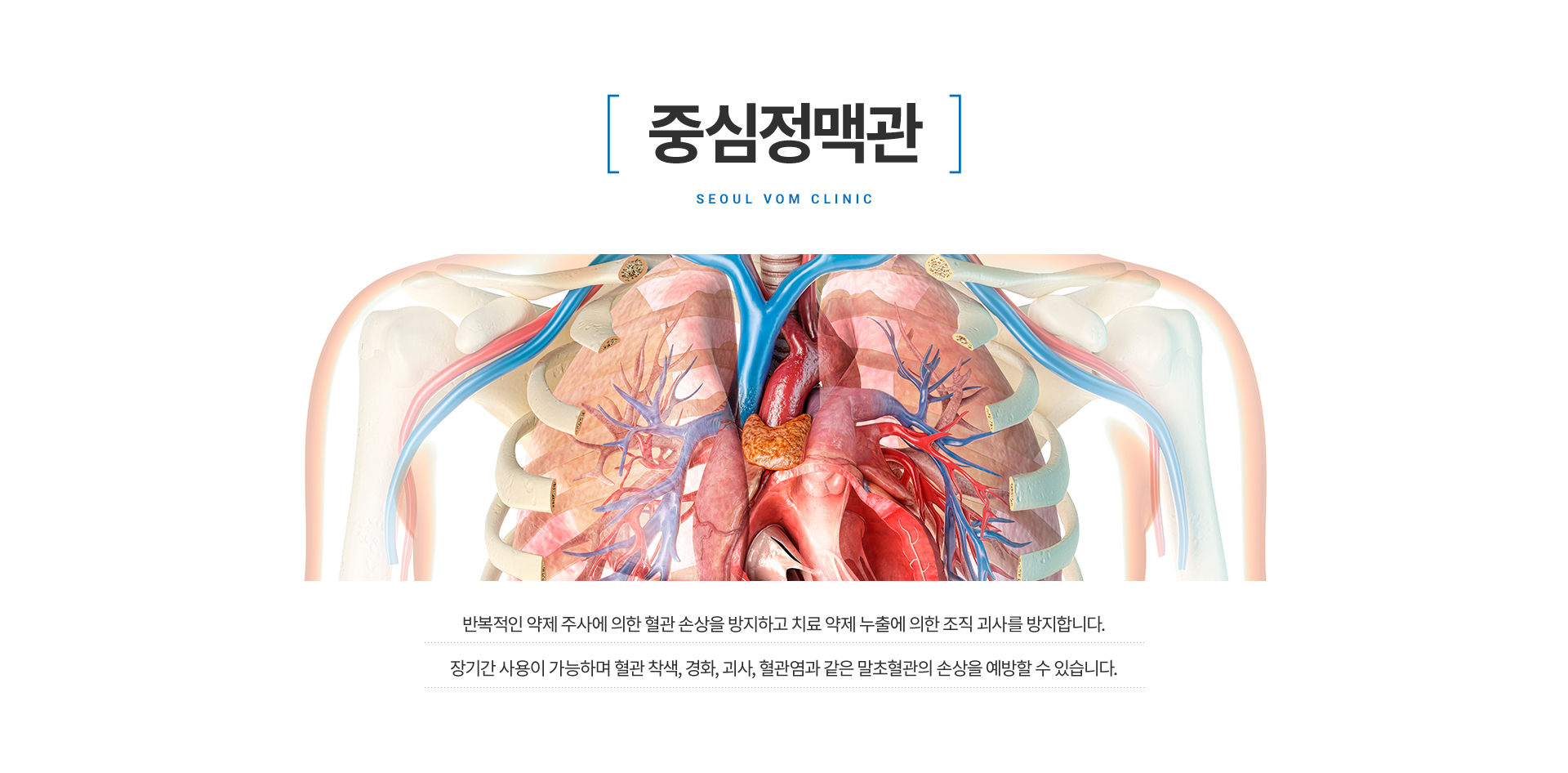 �߽����ư�